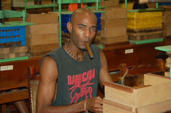 Datei:Festival Habano 20080356.jpg