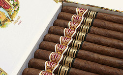 Ryj el09.jpg