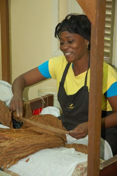 Datei:Festival Habano 20080531.jpg